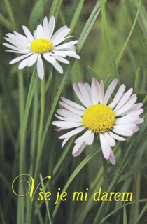 Vše je mi darem • Korespondence mezi Aničkou Zelíkovou a ThDr. Josefem Hlouchem